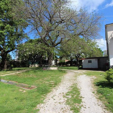 Guest House Milotic Brajkovici  Exterior photo
